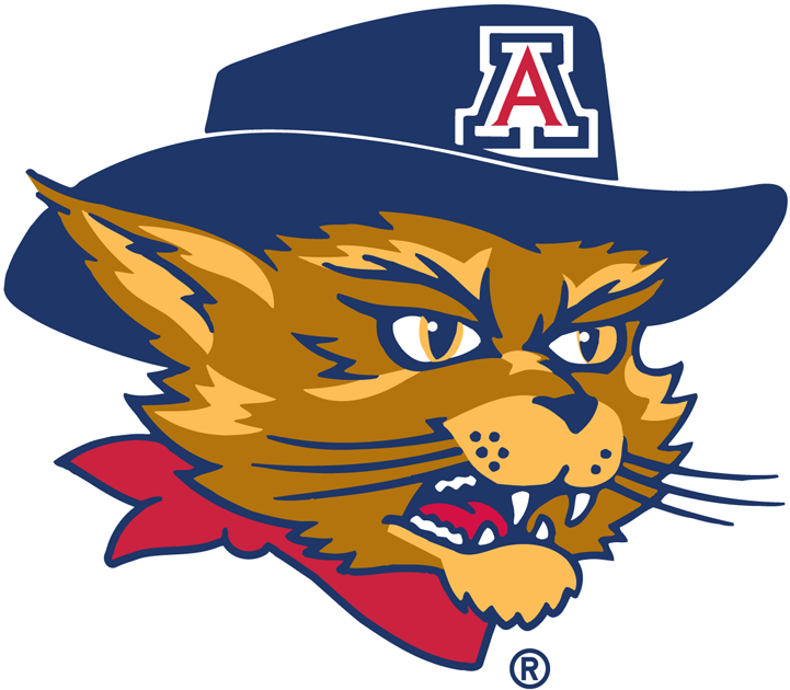 Arizona Wildcats 2003-Pres Mascot Logo v6 DIY iron on transfer (heat transfer)